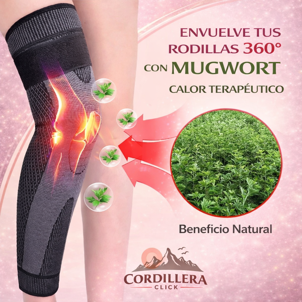 MoveFree™ Rodillera larga compresiva